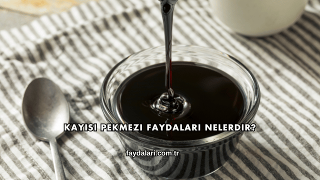 Kayısı Pekmezi Faydaları Nelerdir?