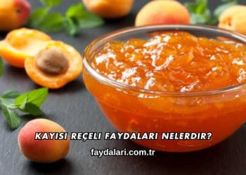 Kayısı Reçeli Faydaları Nelerdir?
