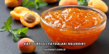 Kayısı Reçeli Faydaları Nelerdir?