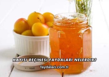 Kayısı Reçinesi Faydaları Nelerdir?