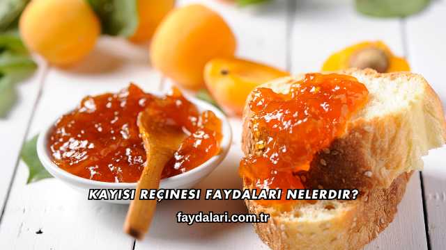 Kayısı Reçinesi Faydaları Nelerdir?