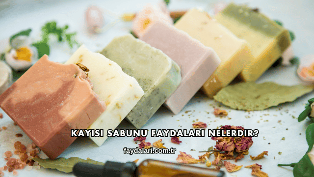 Kayısı Sabunu Faydaları Nelerdir?