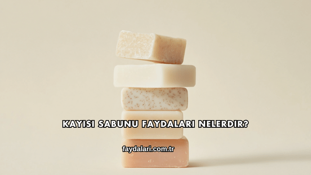 Kayısı Sabunu Faydaları Nelerdir?