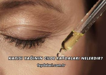 Kayısı Yağının Cilde Faydaları Nelerdir?
