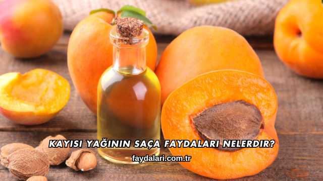 Kayısı Yağının Saça Faydaları Nelerdir?