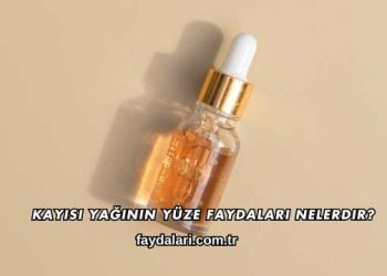 Kayısı Yağının Yüze Faydaları Nelerdir?