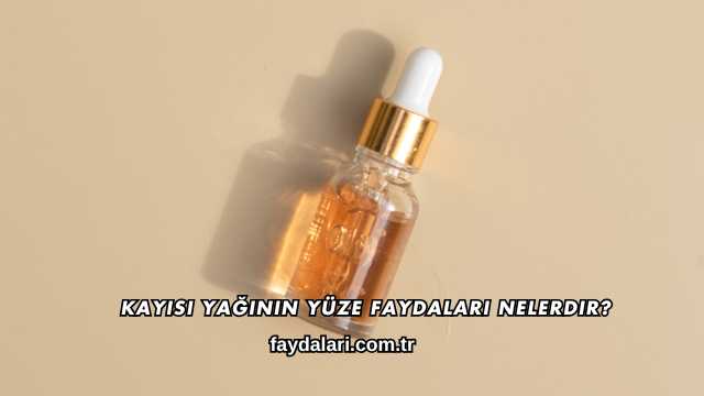 Kayısı Yağının Yüze Faydaları Nelerdir?