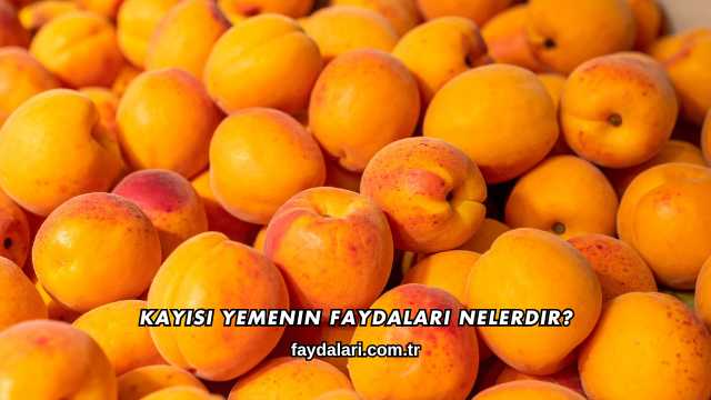 Kayısı Yemenin Faydaları Nelerdir?