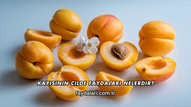 Kayısının Cilde Faydaları Nelerdir?