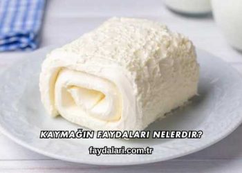 Kaymağın Faydaları Nelerdir?