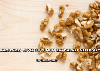 Kaynamış Ceviz Suyunun Faydaları Nelerdir?