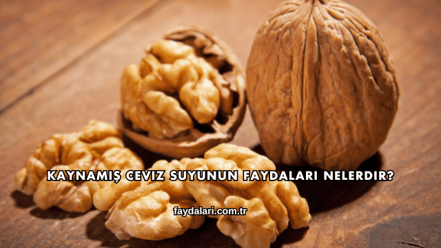 Kaynamış Ceviz Suyunun Faydaları Nelerdir?