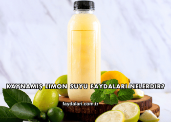 Kaynamış Limon Suyu Faydaları Nelerdir?