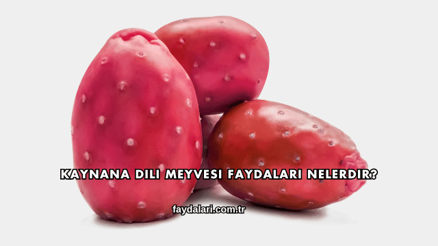 Kaynana Dili Meyvesi Faydaları Nelerdir?