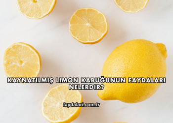 Kaynatılmış Limon Kabuğunun Faydaları Nelerdir?