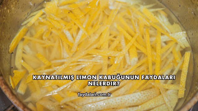 Kaynatılmış Limon Kabuğunun Faydaları Nelerdir?