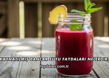 Kaynatılmış Pancar Suyu Faydaları Nelerdir?