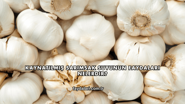 Kaynatılmış Sarımsak Suyunun Faydaları Nelerdir?