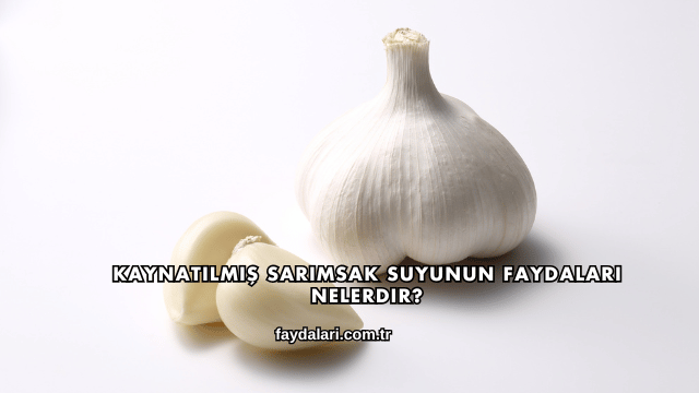 Kaynatılmış Sarımsak Suyunun Faydaları Nelerdir?