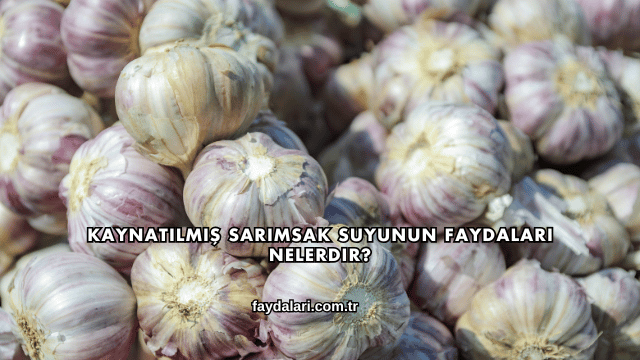 Kaynatılmış Sarımsak Suyunun Faydaları Nelerdir?