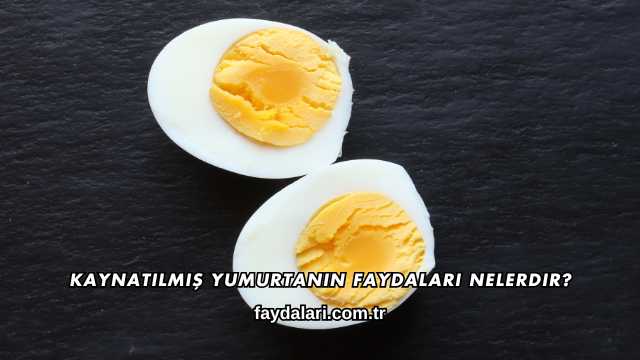 Kaynatılmış Yumurtanın Faydaları Nelerdir?