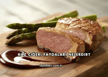 Kaz Ciğeri Faydaları Nelerdir?