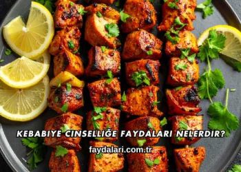 Kebabiye Cinselliğe Faydaları Nelerdir?