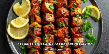 Kebabiye Cinselliğe Faydaları Nelerdir?