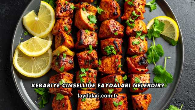 Kebabiye Cinselliğe Faydaları Nelerdir?