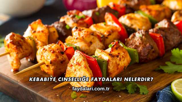 Kebabiye Cinselliğe Faydaları Nelerdir?