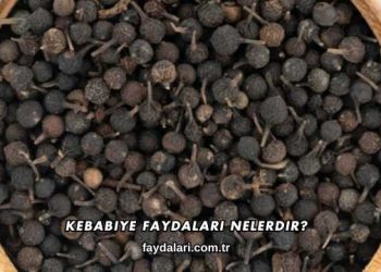 Kebabiye Faydaları Nelerdir?