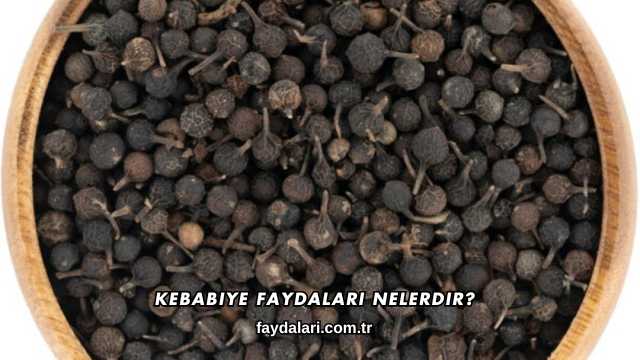 Kebabiye Faydaları Nelerdir?