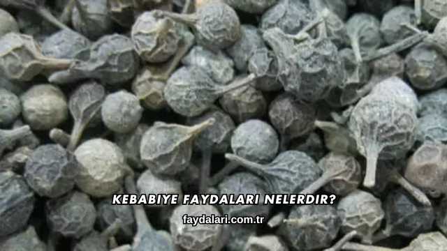 Kebabiye Faydaları Nelerdir?