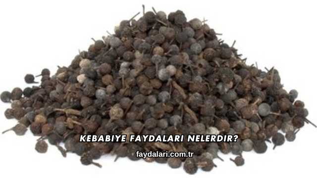 Kebabiye Faydaları Nelerdir?