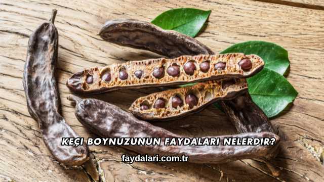 Keçi Boynuzunun Faydaları Nelerdir?