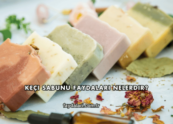 Keçi Sabunu Faydaları Nelerdir?