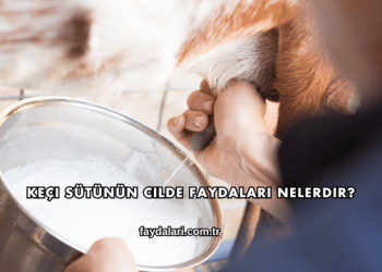 Keçi Sütünün Cilde Faydaları Nelerdir?