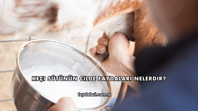 Keçi Sütünün Cilde Faydaları Nelerdir?