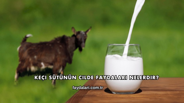 Keçi Sütünün Cilde Faydaları Nelerdir?