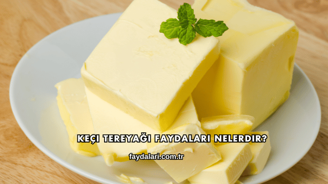 Keçi Tereyağı Faydaları Nelerdir?