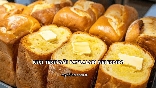 Keçi Tereyağı Faydaları Nelerdir?