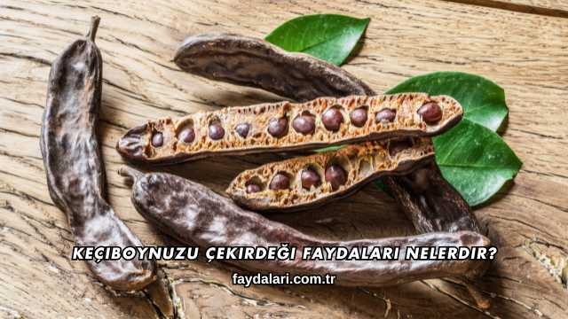 Keçiboynuzu Çekirdeği Faydaları Nelerdir?