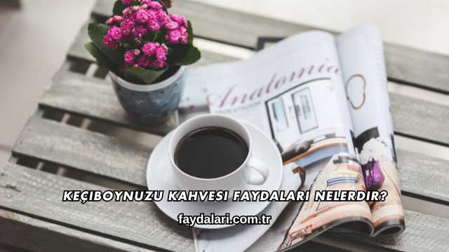 Keçiboynuzu Kahvesi Faydaları Nelerdir?