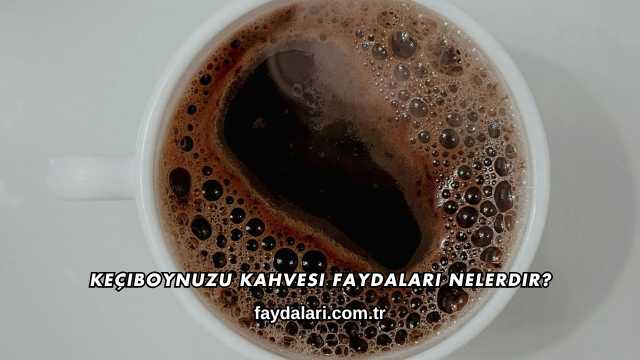 Keçiboynuzu Kahvesi Faydaları Nelerdir?