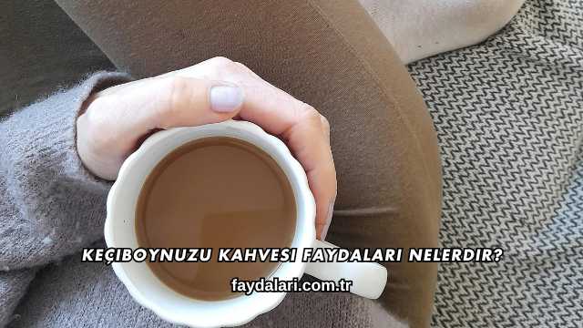 Keçiboynuzu Kahvesi Faydaları Nelerdir?