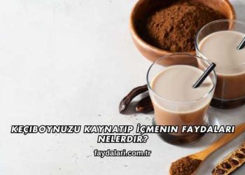 Keçiboynuzu Kaynatıp İçmenin Faydaları Nelerdir?