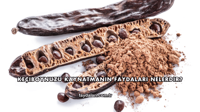 Keçiboynuzu Kaynatmanın Faydaları Nelerdir?