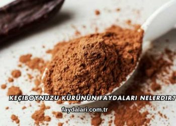 Keçiboynuzu Kürünün Faydaları Nelerdir?