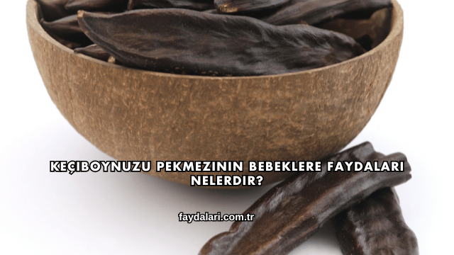 Keçiboynuzu Pekmezinin Bebeklere Faydaları Nelerdir?