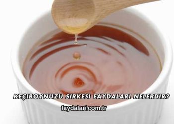Keçiboynuzu Sirkesi Faydaları Nelerdir?